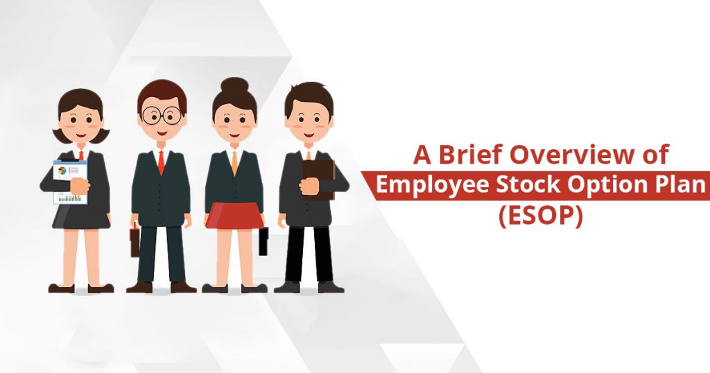 Employee Stock Option Plan